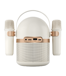Philips Parlante Karaoke Portátil TAS2509