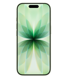 Apple Iphone 17 256Gb Salvia