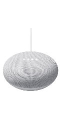 Google Nest Mini Gray
