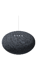 Google Nest Mini Charcoal