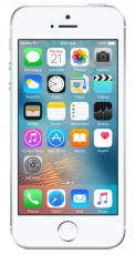 Apple iPhone SE 16 GB (Seminuevo) Silver